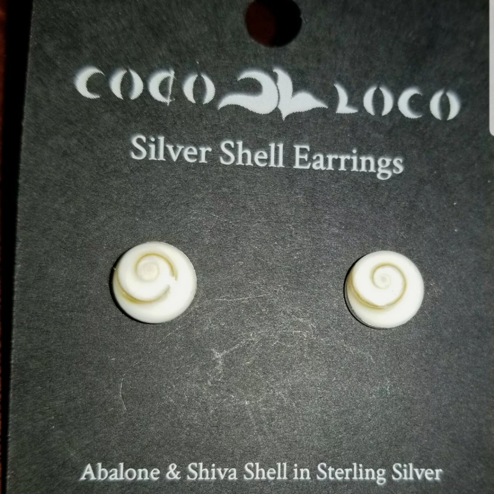 SIMPLE, YET EYE CATCHING ABALONE SEASHELL STUD EAR